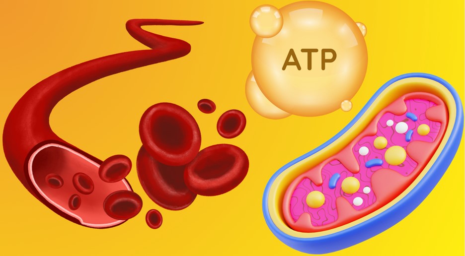 treatment of Antimicrobial and Sterilizing Effects lasers in pediatric dentistry