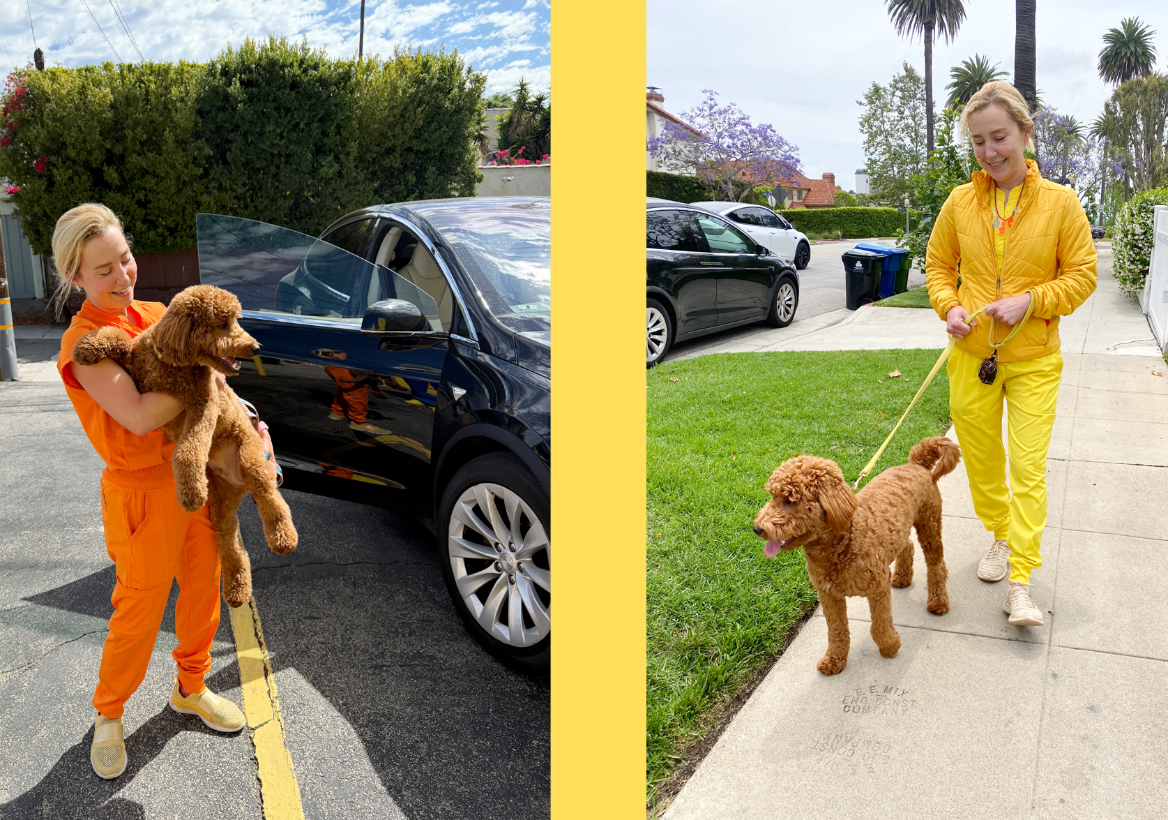 Dr. Reem Pediatric dentist in los angeles walking dog "cubs"